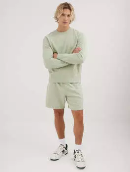 Мужские шорты из эко-флиса Sheffield Bench., цвет desert sage