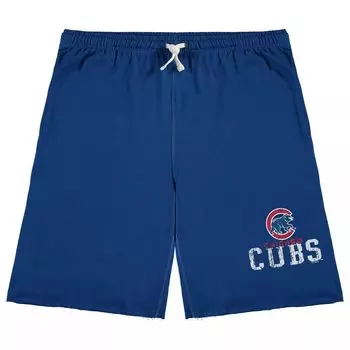 Мужские шорты из френч терри Royal Chicago Cubs Big & Tall