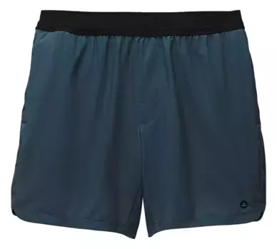 Мужские шорты на подкладке prAna, цвет Grey Blue