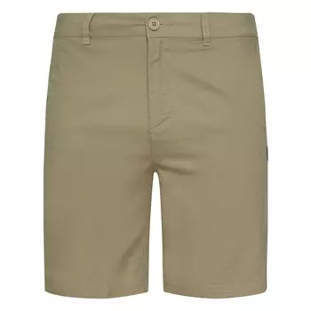 Мужские шорты Oakley Lewis