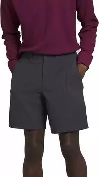 Мужские шорты Paramount The North Face, серый