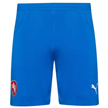 Мужские шорты PUMA Чехия