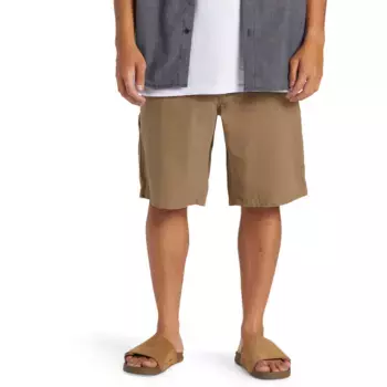 Мужские шорты Quiksilver Carpenter, бежевый