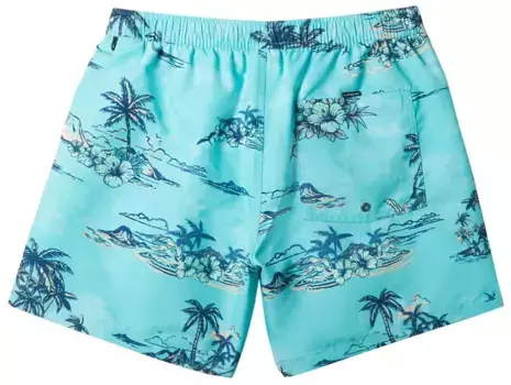 Мужские шорты Quiksilver Mix Volley на каждый день, 17 дюймов, с эластичной резинкой на талии, цвет Capri