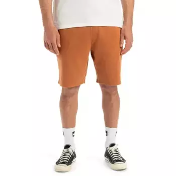 Мужские шорты Quiksilver с соленой водой, коричневый