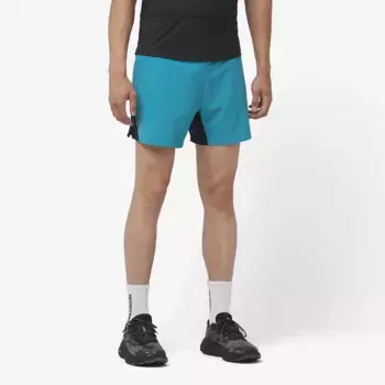 Мужские шорты Salomon Cross 5'', синий