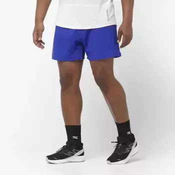 Мужские шорты Salomon Cross 5", синий