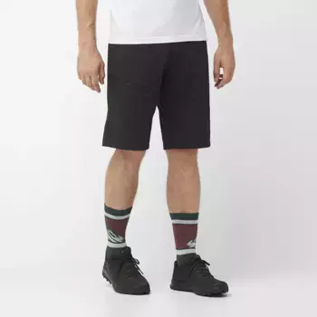 Мужские шорты Salomon Wayfarer, черный