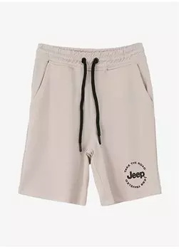 Мужские шорты Stone C4SB-SHT4002 Jeep, серый