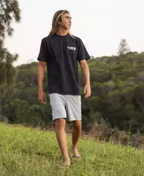 Мужские шорты Taxer Amphibian Quiksilver, серый