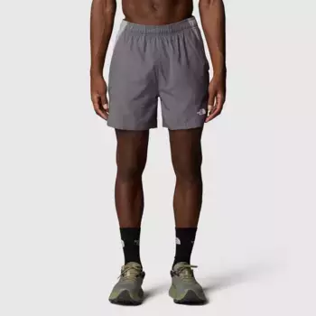 Мужские шорты The North Face, серый