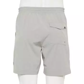 Мужские шорты Vans Vanphibian