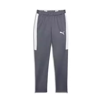 Мужские скоростные брюки PUMA, цвет galactic gray/white