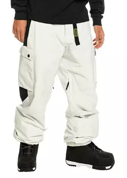 Мужские сноубордические брюки карго snow down Quiksilver