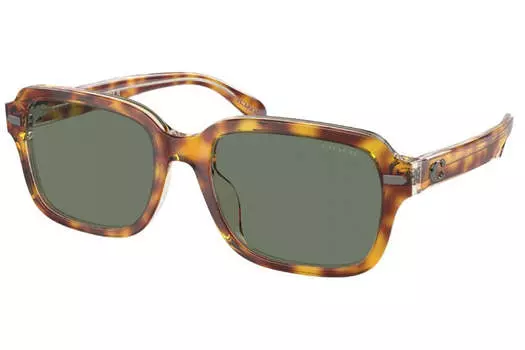 Мужские солнцезащитные очки Coach Canary, темно-черепахового цвета, 56 мм