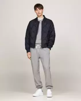 Мужские спортивные брюки Лейк Tommy Hilfiger, серый