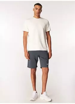 Мужские спортивные шорты антрацитового цвета D4SM-SHT3286 Discovery Expedition, антрацитовый