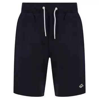 Мужские спортивные шорты Le Shark Somers