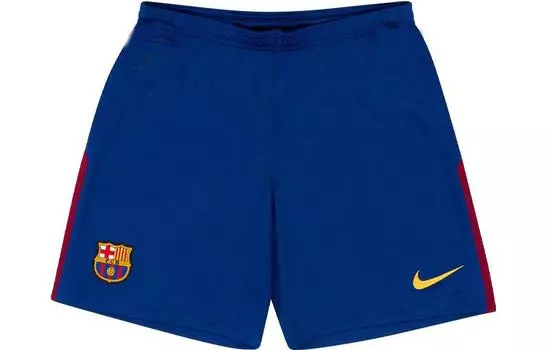 Мужские спортивные шорты Nike, цвет Blue