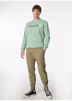 Мужские спортивные штаны цвета хаки TB0A5YFB5901_С матовой отделкой назад Timberland, хаки