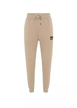 Мужские спортивные штаны edge Routefield