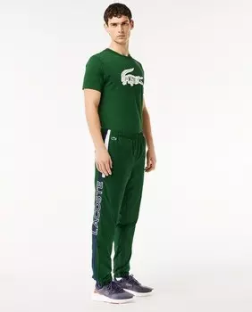 Мужские спортивные штаны Lacoste SPORT Французская капсульная коллекция Lacoste, зеленый