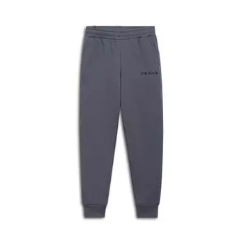 Мужские спортивные штаны с графическим рисунком PUMA, цвет Galactic Gray