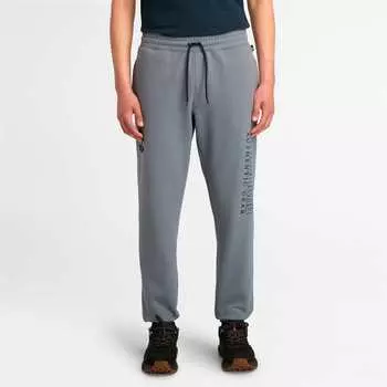 Мужские спортивные штаны с рисунком в стиле US Brushback Timberland, цвет folkstone grey