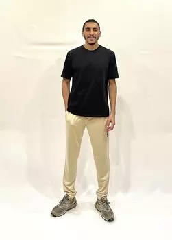 Мужские спортивные штаны стандартного кроя Broklyn с принтом SPR 203 Sperlife, бежевый