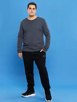 Мужские спортивные штаны стандартной посадки LCWAIKIKI Classic