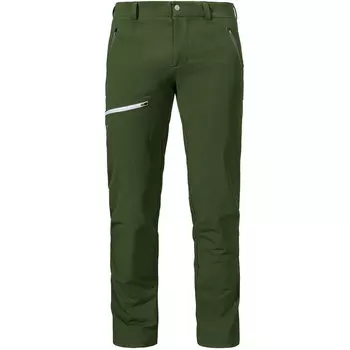 Мужские теплые брюки Folkstone Schffel, зеленый