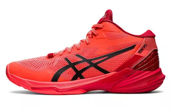 Мужские тренировочные кроссовки Asics Sky Elite FF