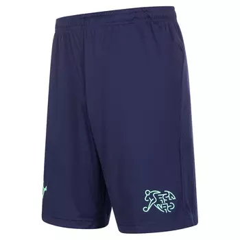 Мужские тренировочные шорты PUMA Швейцария