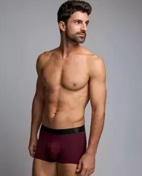 Мужские трикотажные боксерские шорты из египетского хлопка ZD, многоцветный