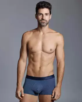 Мужские трикотажные боксерские шорты из египетского хлопка ZD, многоцветный