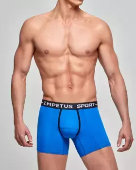 Мужские трикотажные спортивные шорты-боксеры Impetus, синий