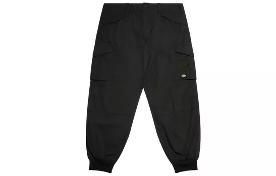 Мужские трикотажные спортивные штаны Dickies, Черный