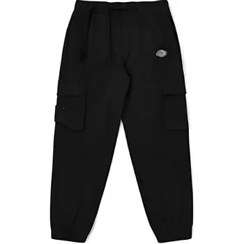 Мужские трикотажные спортивные штаны Dickies, цвет Black