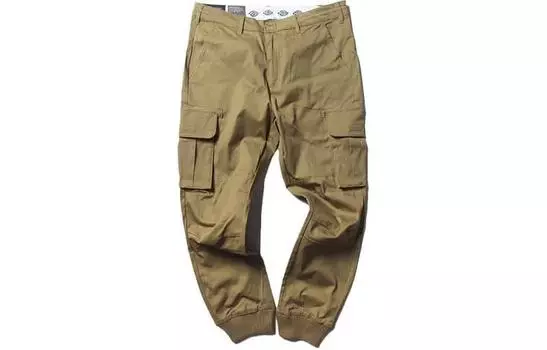 Мужские трикотажные спортивные штаны Dickies, цвет Bronze Color