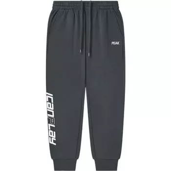 Мужские трикотажные спортивные штаны PEAK, Темно-серый