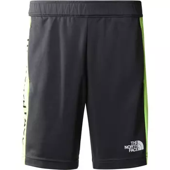 Мужские трикотажные тренировочные шорты B Never Stop The North Face, серый