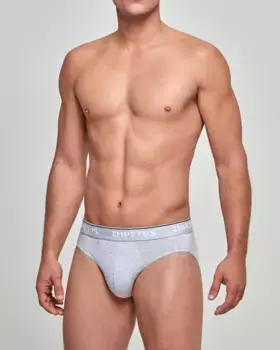 Мужские трикотажные трусы из органического хлопка Impetus, серый
