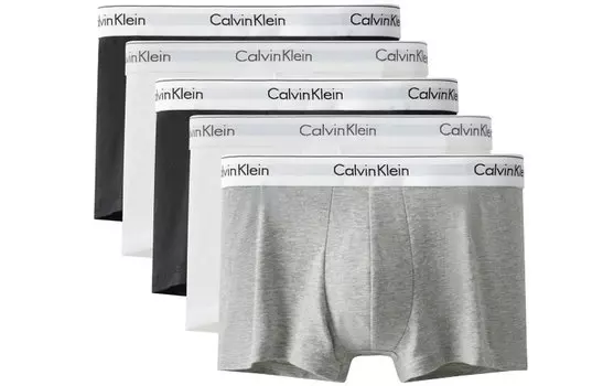 Мужские трусы Calvin Klein, Упаковка из 5 шт. (белый/черный/серый)