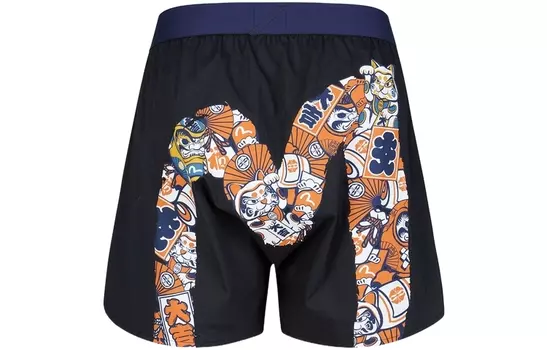 Мужские трусы EVISU, 1 упаковка (черный)