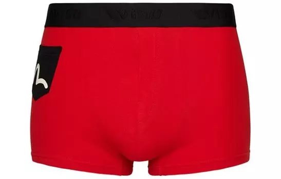 Мужские трусы Evisu