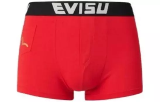 Мужские трусы Evisu