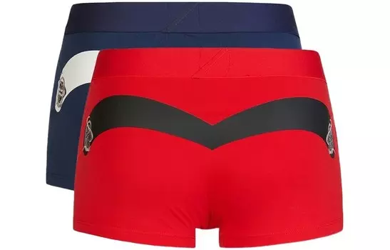 Мужские трусы Evisu