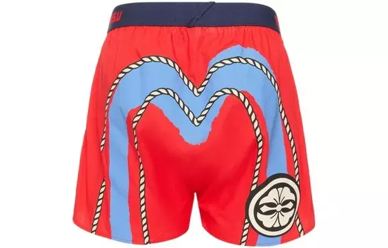 Мужские трусы Evisu