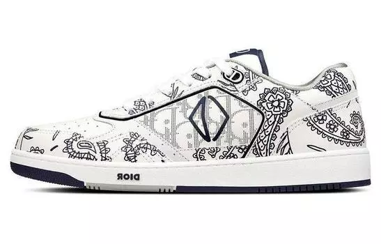 Мужские кроссовки для скейтбординга Dior B27