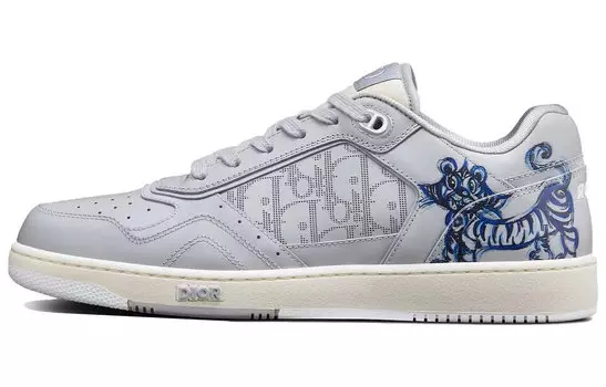 Мужские кроссовки для скейтбординга Dior B27